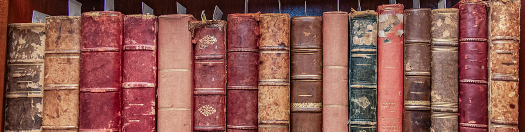 Partners & Publications